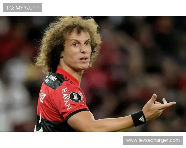 南美区预选赛中的明星球员表现，谁是本赛季的最佳球员候选